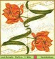 Preview: Tulpe auf Noten - 1 Lunch Serviette